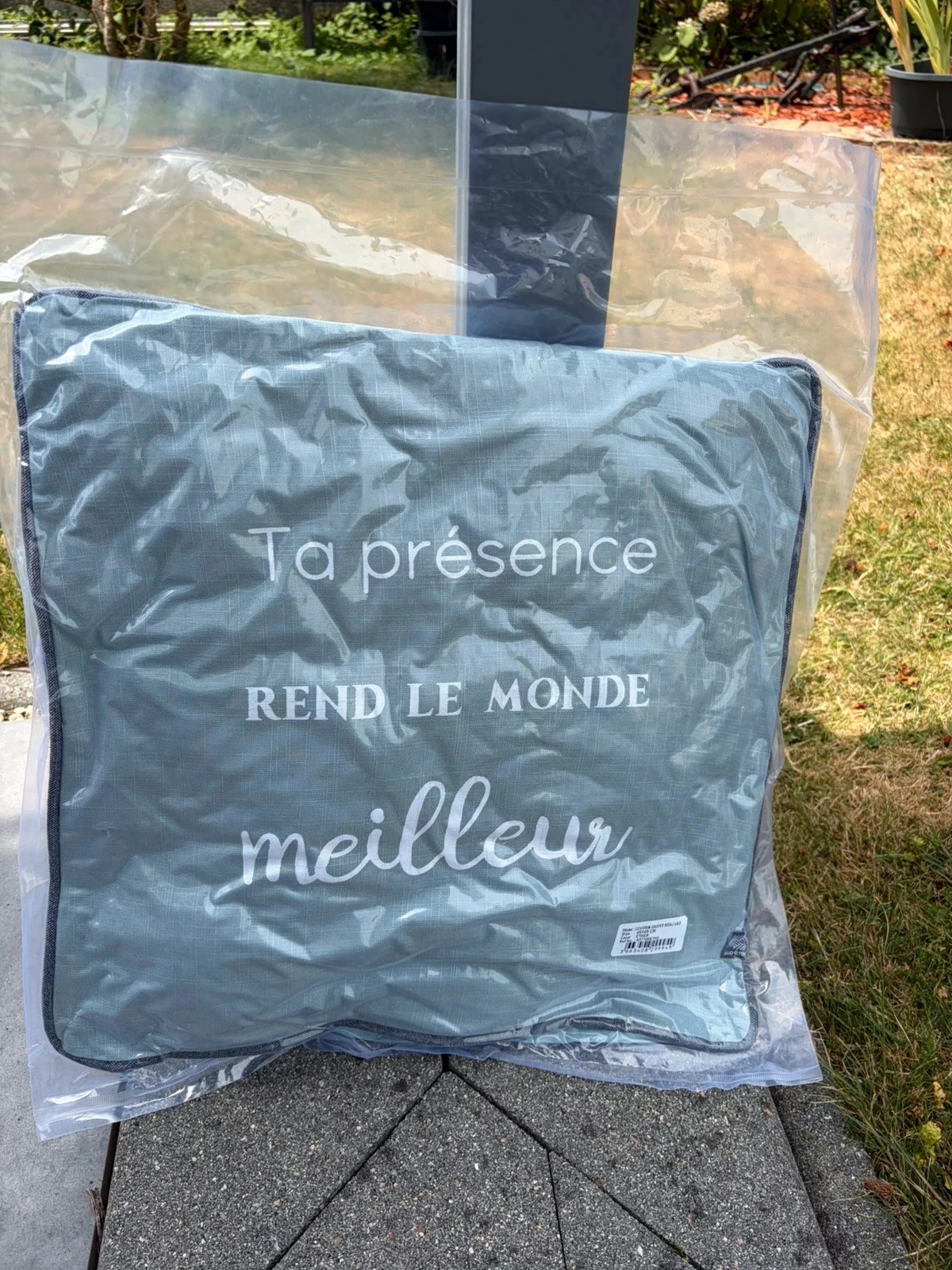 Coussin bleu neuf décoratif avec citation